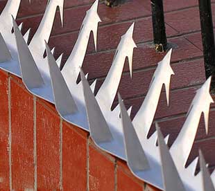 Wall Spikes For Sale | Security Spikes | Anti Climb Fence Spikes